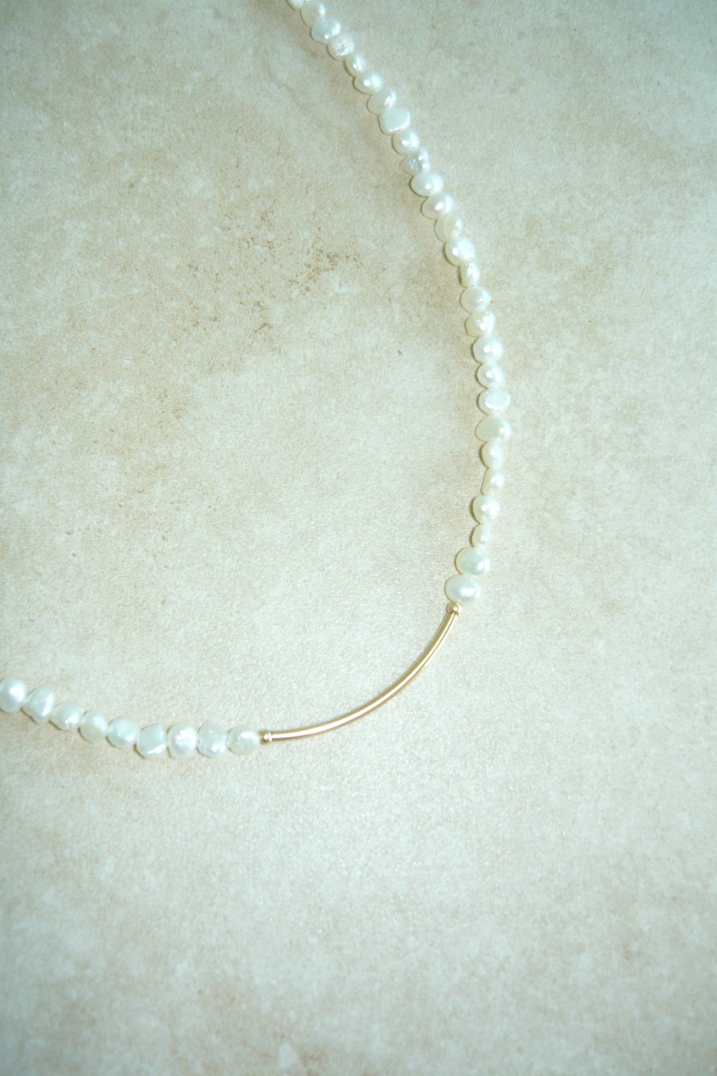 lani bar necklace